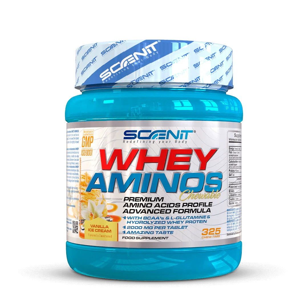 Whey Aminos - Protein Flavored Chewable Amino Acids Vanilla ice cream